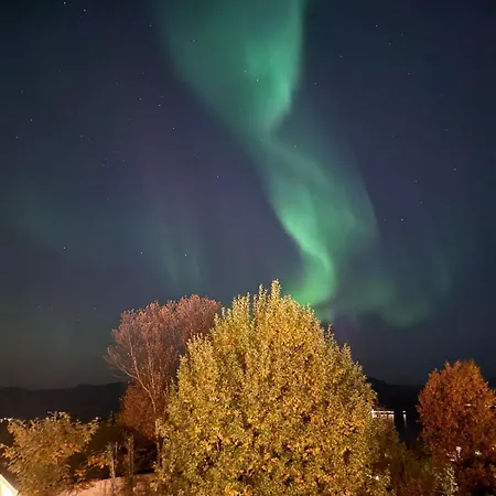 Apartmán Nansenvegen